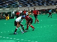 DSC_6160a.jpg