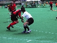 DSC_6167a.jpg