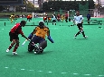 DSC_6172a.jpg