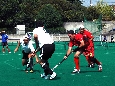 DSC_6195a.jpg